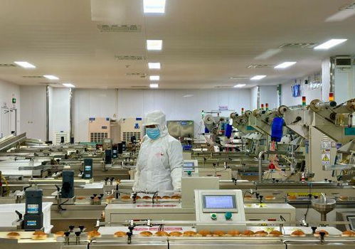 何以中國(guó) 向海泉州 憑海闖天涯 愛(ài)拼才會(huì)贏