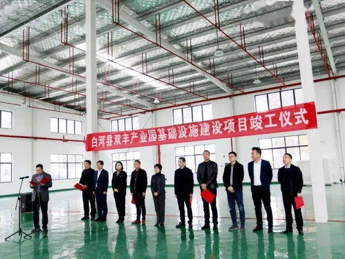 安康一批重點項目集中開 竣 工,涉及多個縣區(qū)