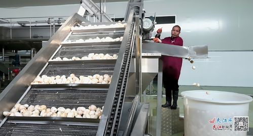 鉛山 農產品加工產業旺 興農促振興 圖