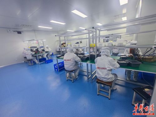 干勁拉滿 長沙縣全力沖刺 開門紅