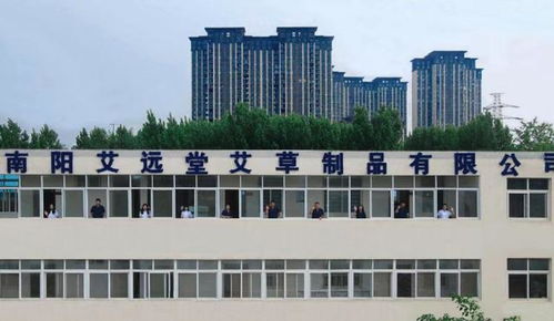 南陽(yáng)夫婦白手起家,艾草產(chǎn)品年銷售超1億元丨了不起的小微⑧