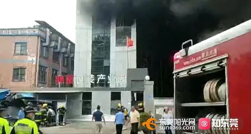 突發 東莞一包裝制品廠發生火災,濃煙沖天
