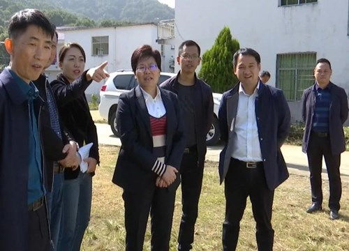 縣委副書記 縣長周三連調研河長制林長制工作