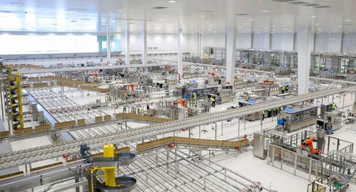 一文解密伊利 透明工廠 藏在鮮奶和酸奶里的高品質革命