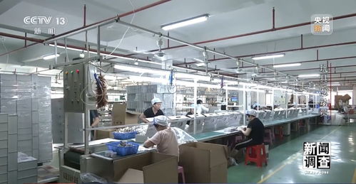 新聞調查丨應對貿易摩擦 中國玩具外貿企業突出重圍