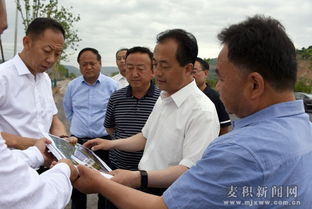 麥積區區長成少平調研督查東柯河工業園重點項目建設情況