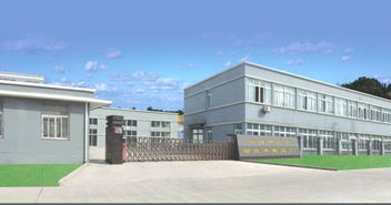 托盤 寧波市北侖胡氏木制品廠