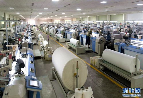 聚焦高質(zhì)量發(fā)展丨湖北通城錨定細(xì)分產(chǎn)業(yè)賽道鍛造山區(qū)科技 硬實(shí)力