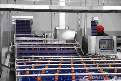 巫山 市級數字化車間 1