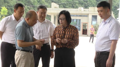 市政府黨組成員劉英華來我縣調(diào)研金融工作