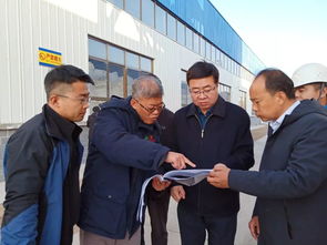 市委書記夏斌督辦再生園區(qū)企業(yè)退出情況