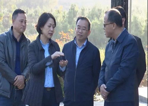 市委常委 統(tǒng)戰(zhàn)部長廖奇志到我縣調(diào)研林長制工作