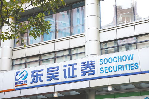 東吳證券總裁薛臻又有新職務(wù) 擔(dān)任東吳基金董事長(zhǎng)