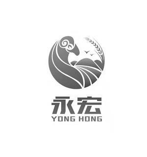 涌鴻與永宏 兩個名字的寓意與影響