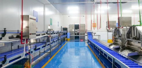 中洋魚天下第二加工廠正式投產(chǎn)，助力大灣區(qū)漁業(yè)產(chǎn)業(yè)鏈形成