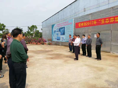 永宏農(nóng)業(yè) 以科技為翼，譜寫現(xiàn)代農(nóng)業(yè)新篇章